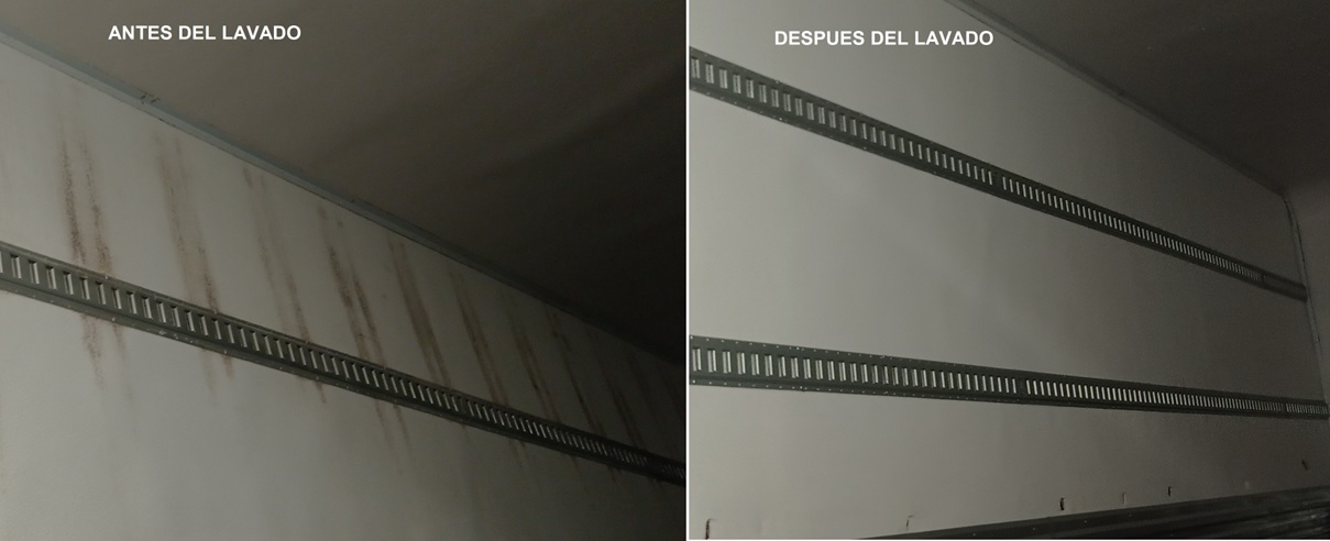 ANTES - DESPUES